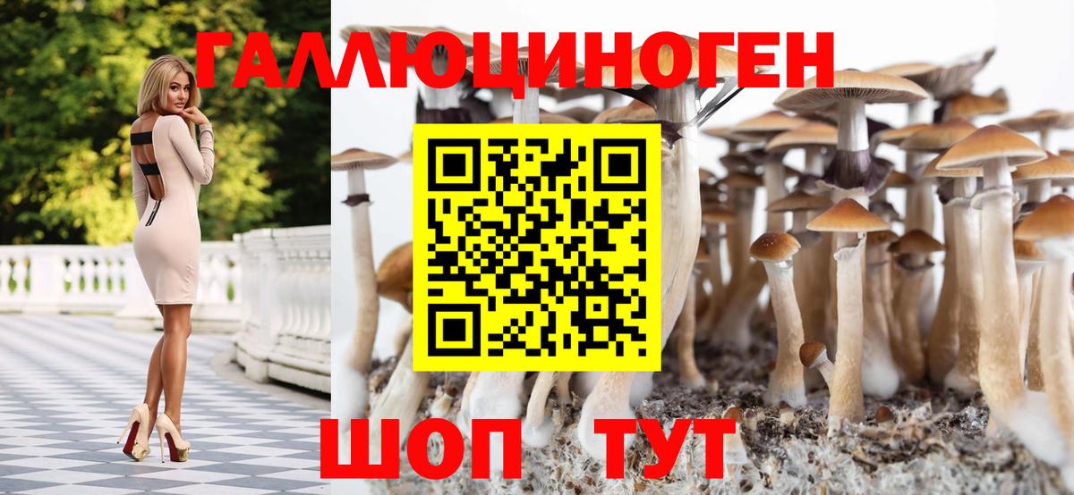 Галлюциногенные грибы Magic Shrooms Ипатово